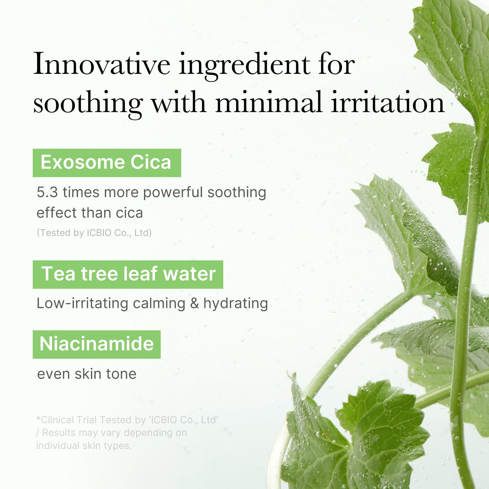 exosome-cica-calming-toner-pads-t2 03_d73c7e58-fe02-42b9-8dfe-6db8bcfc4a9d.jpg