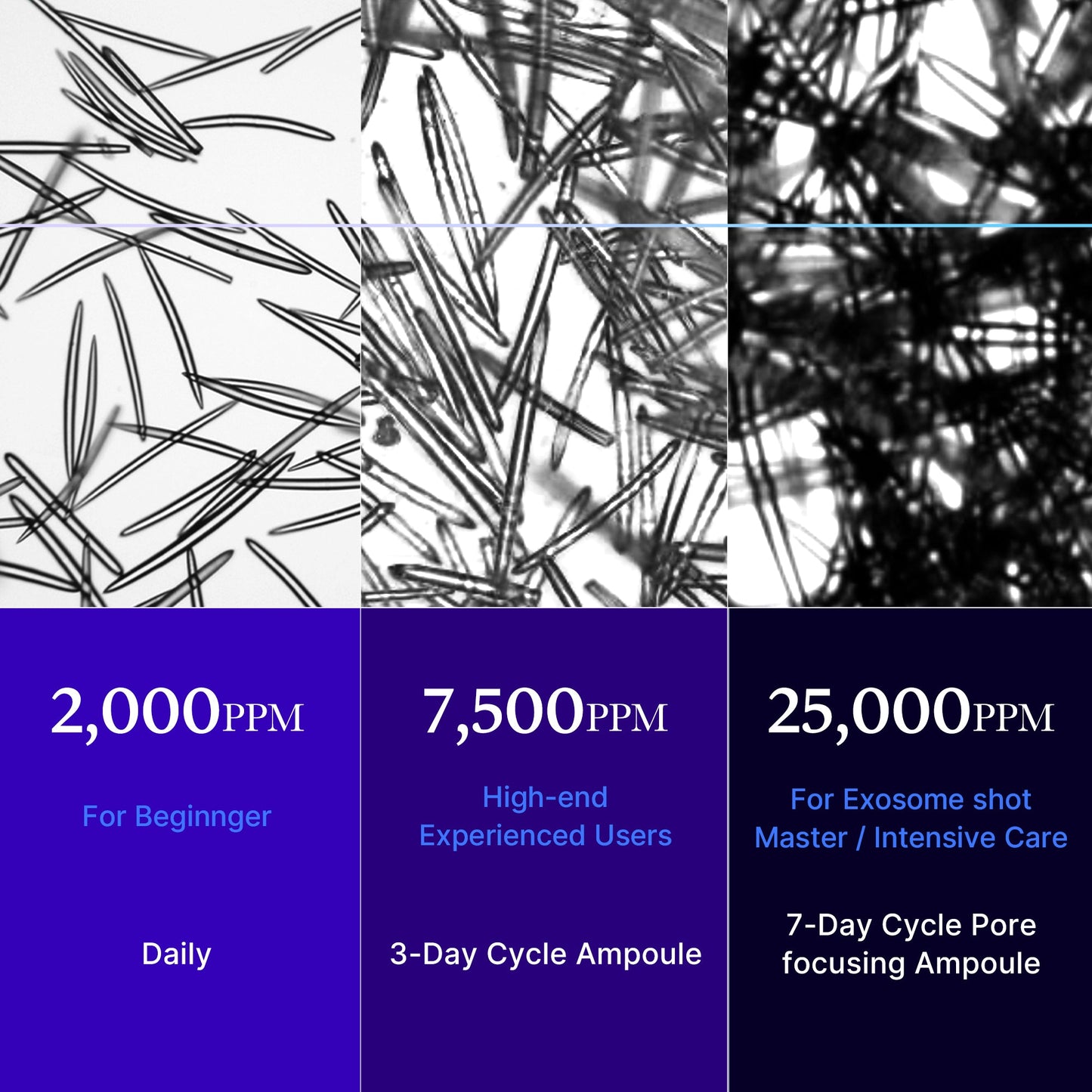 zero-exosome-shot-f3 25000_05.jpg