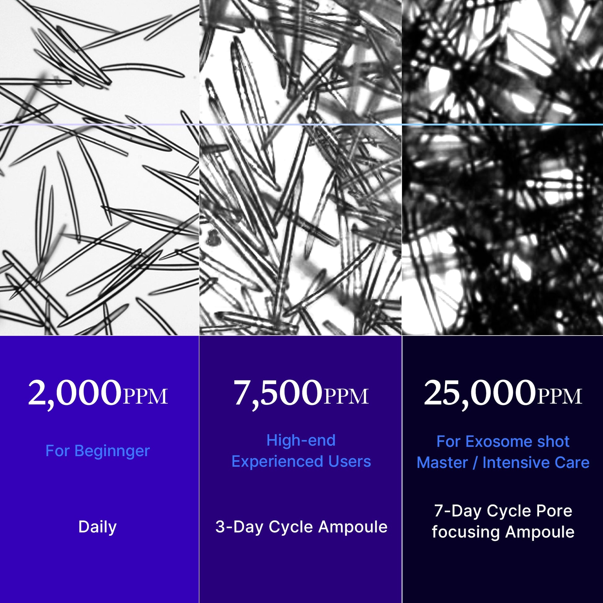 zero-exosome-shot-f3 25000_05.jpg