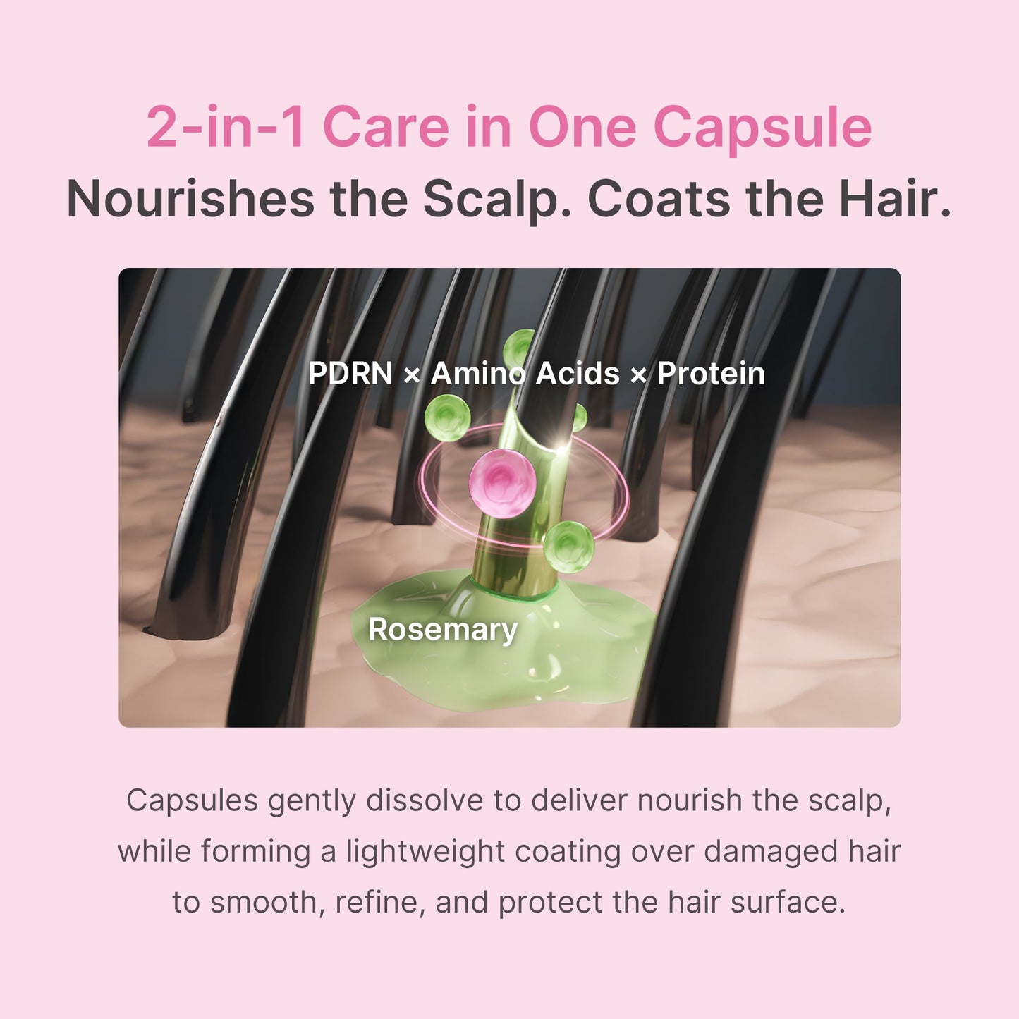 rosemary-pdrn-hair-and-scalp-conditioner-j4 US_ME_RosemaryConditioner_th05.jpg